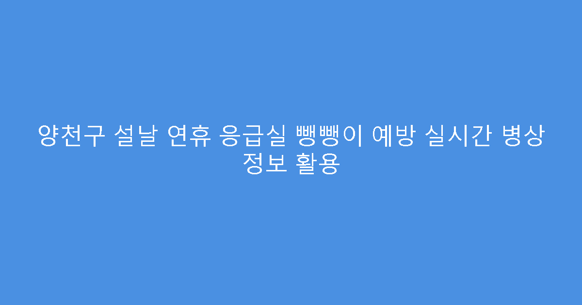 양천구 설날 연휴 응급실 뺑뺑이 예방 실시간 병상 정보 활용