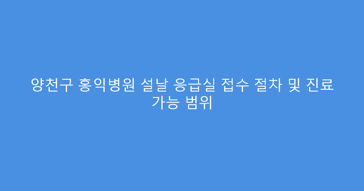 양천구 홍익병원 설날 응급실 접수 절차 및 진료 가능 범위