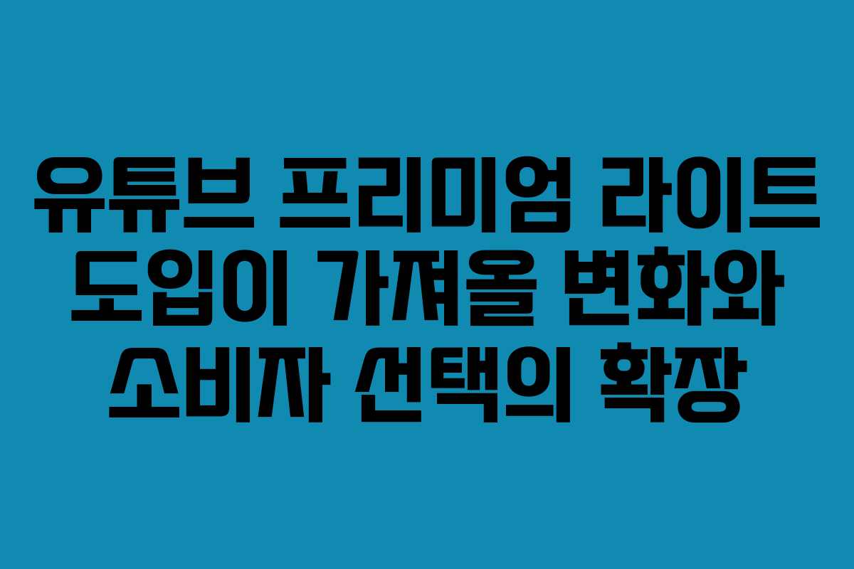 유튜브 프리미엄 라이트 도입이 가져올 변화와 소비자 선택의 확장