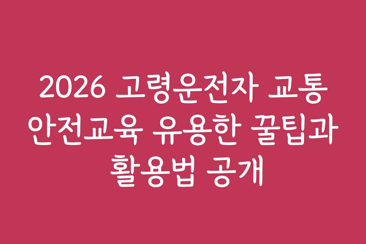 2026 고령운전자 교통안전교육 유용한 꿀팁과 활용법 공개