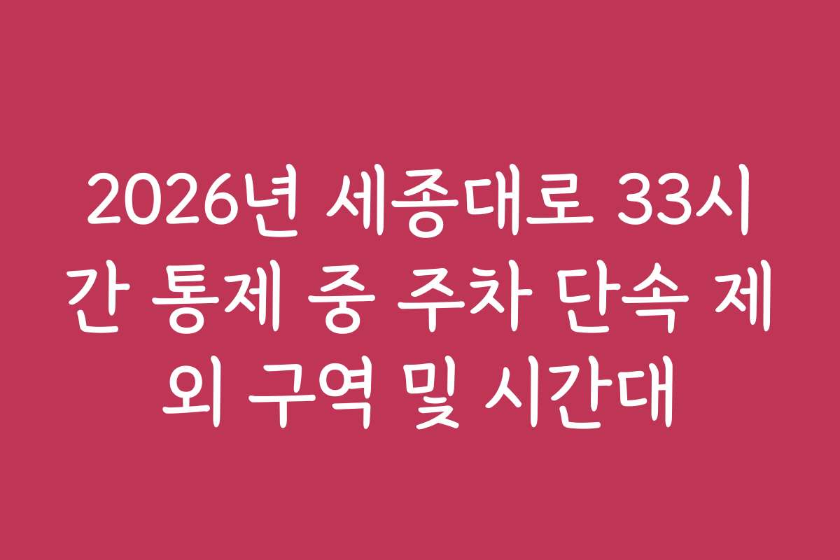 2026년 세종대로 33시간 통제 중 주차 단속 제외 구역 및 시간대
