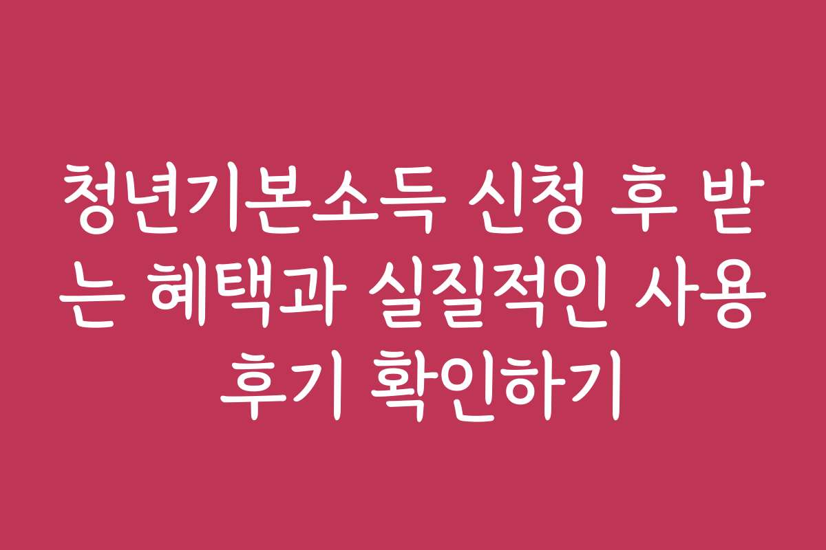 청년기본소득 신청 후 받는 혜택과 실질적인 사용 후기 확인하기