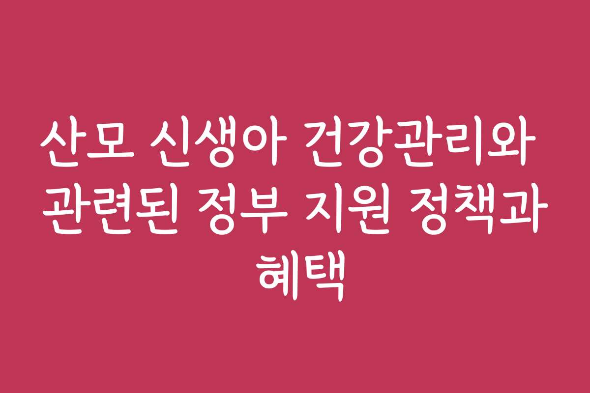 산모 신생아 건강관리와 관련된 정부 지원 정책과 혜택