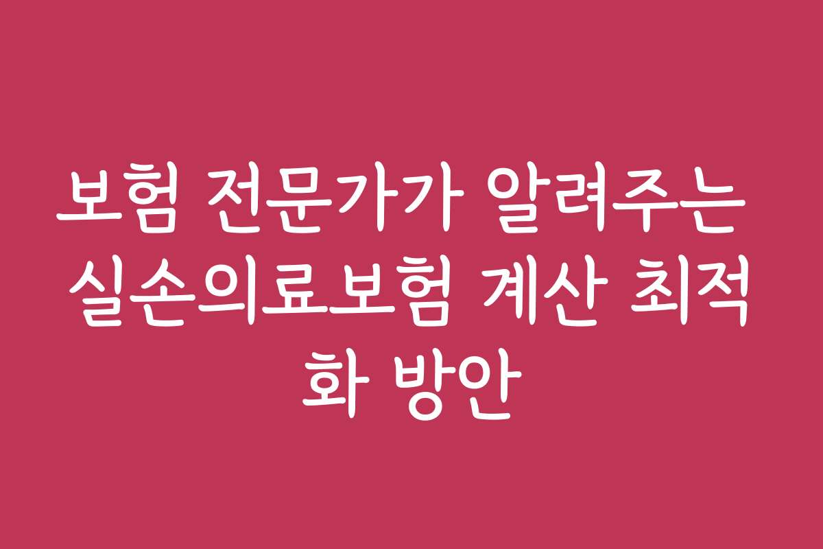 보험 전문가가 알려주는 실손의료보험 계산 최적화 방안