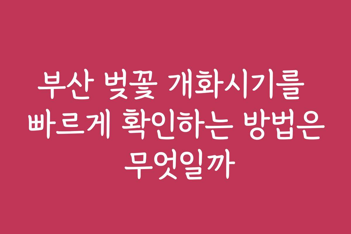 부산 벚꽃 개화시기를 빠르게 확인하는 방법은 무엇일까