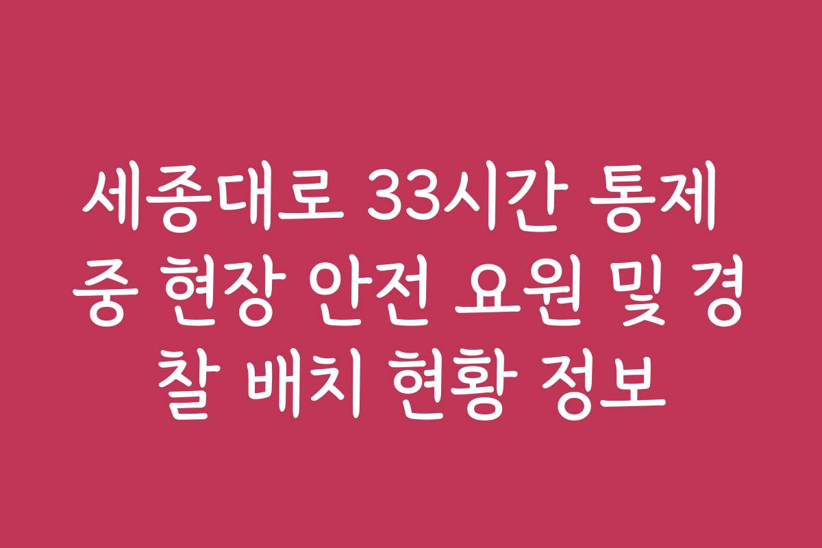 세종대로 33시간 통제 중 현장 안전 요원 및 경찰 배치 현황 정보