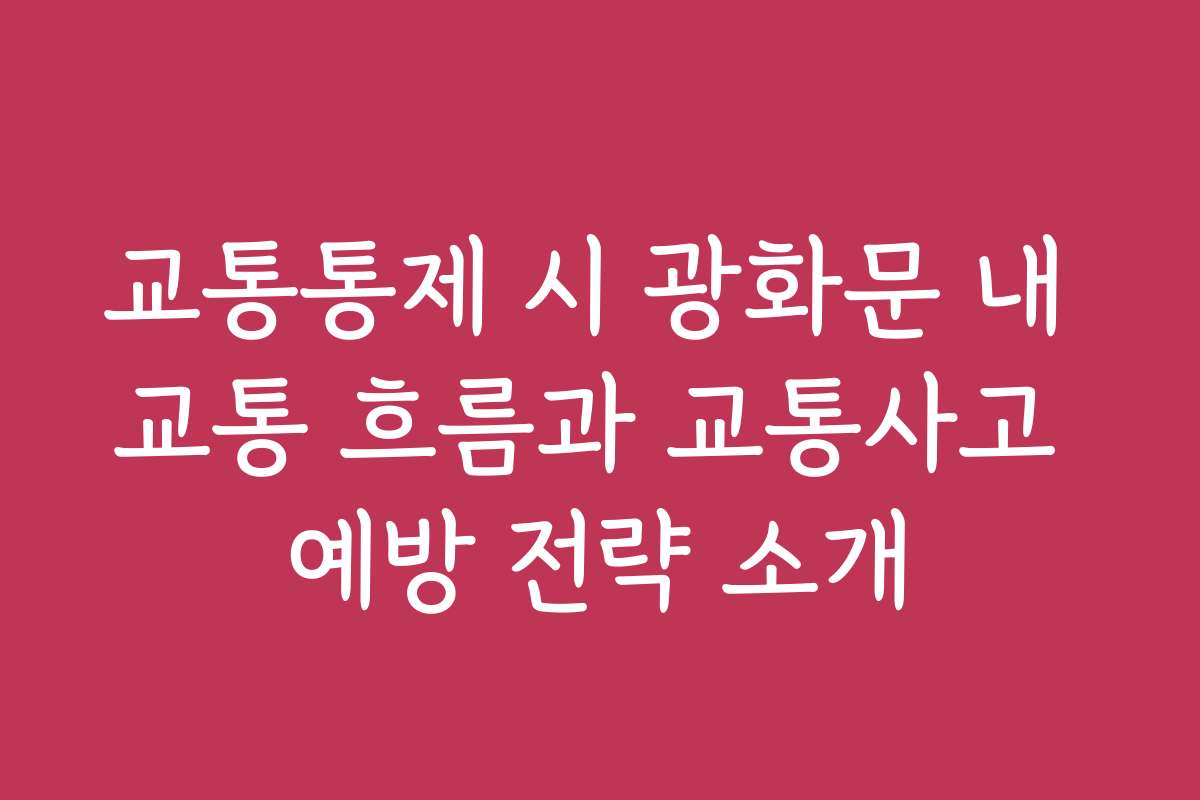 교통통제 시 광화문 내 교통 흐름과 교통사고 예방 전략 소개