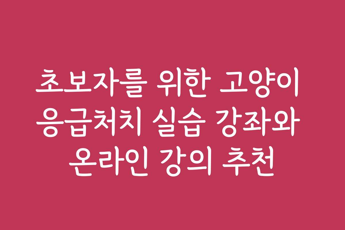 초보자를 위한 고양이 응급처치 실습 강좌와 온라인 강의 추천
