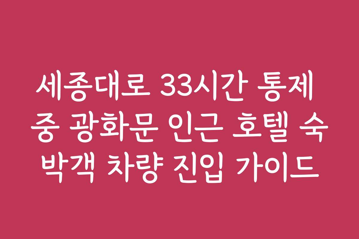 세종대로 33시간 통제 중 광화문 인근 호텔 숙박객 차량 진입 가이드