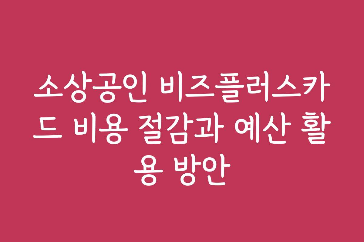 소상공인 비즈플러스카드 비용 절감과 예산 활용 방안