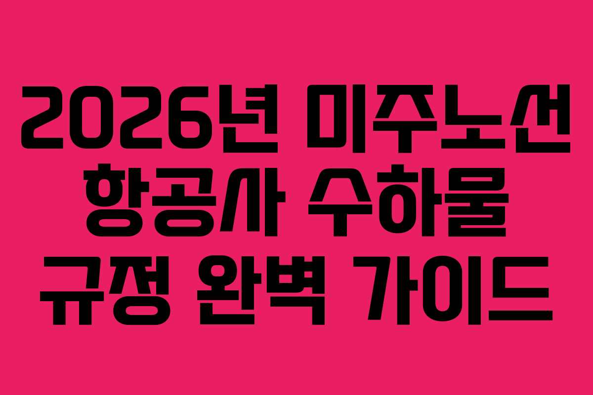 2026년 미주노선 항공사 수하물 규정 완벽 가이드