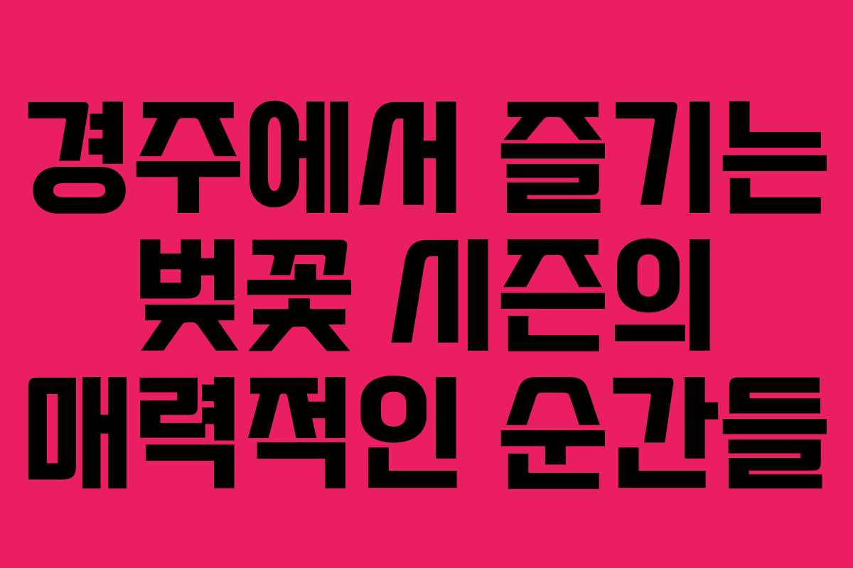 경주에서 즐기는 벚꽃 시즌의 매력적인 순간들