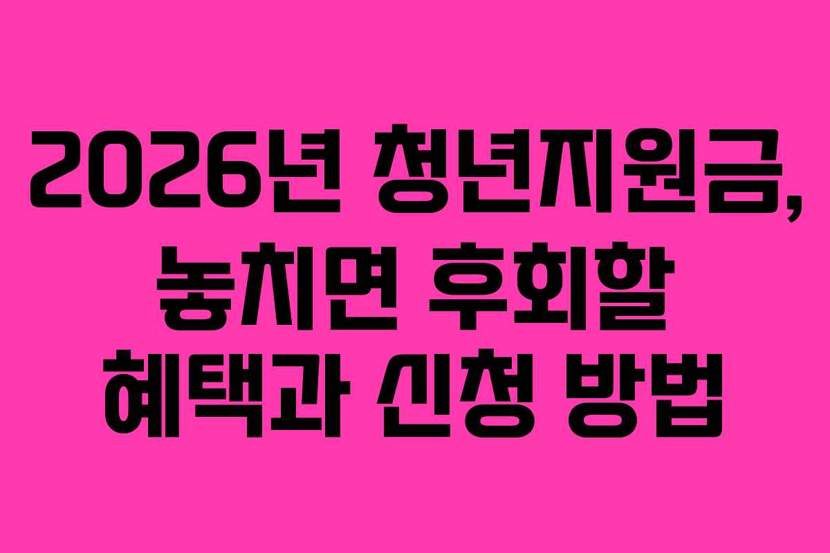 2026년 청년지원금, 놓치면 후회할 혜택과 신청 방법