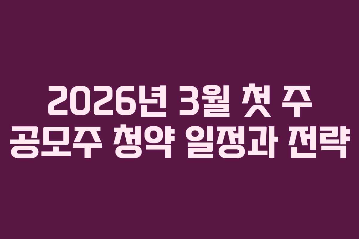 2026년 3월 첫 주 공모주 청약 일정과 전략
