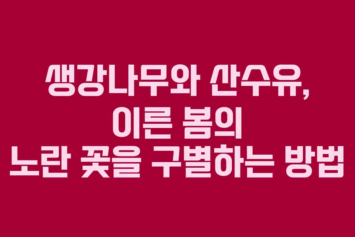 생강나무와 산수유, 이른 봄의 노란 꽃을 구별하는 방법