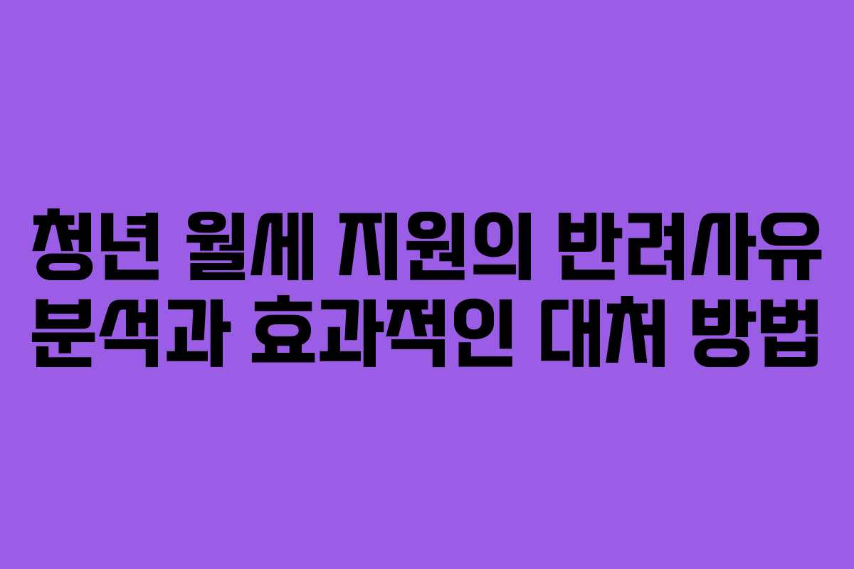 청년 월세 지원의 반려사유 분석과 효과적인 대처 방법