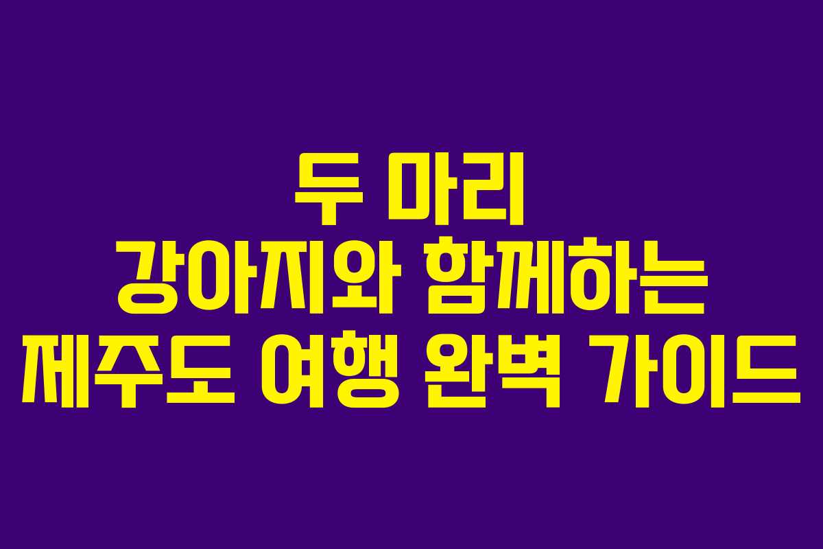 두 마리 강아지와 함께하는 제주도 여행 완벽 가이드