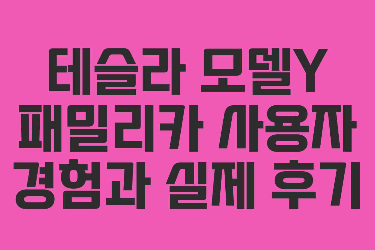 테슬라 모델Y 패밀리카 사용자 경험과 실제 후기