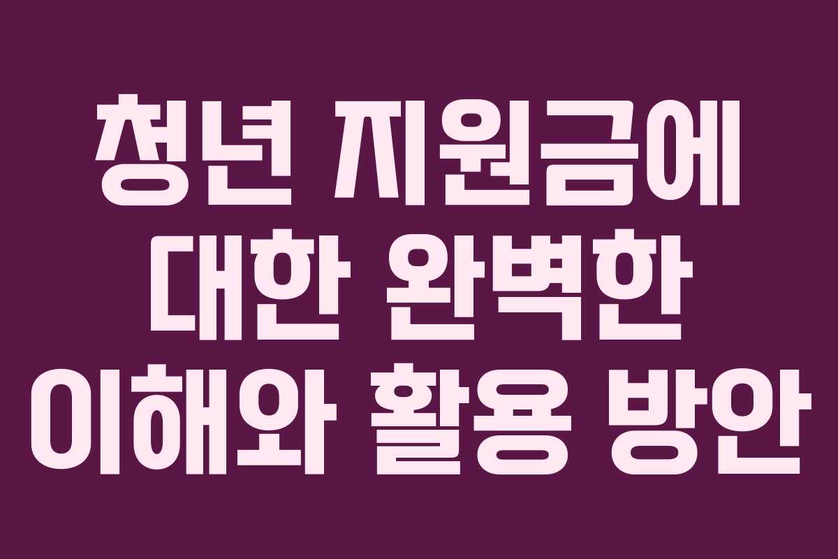 청년 지원금에 대한 완벽한 이해와 활용 방안