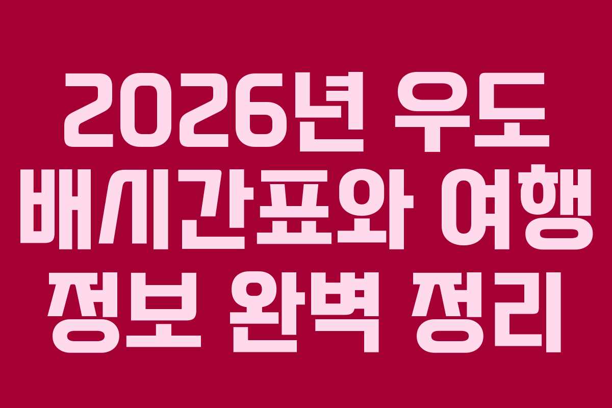 2026년 우도 배시간표와 여행 정보 완벽 정리