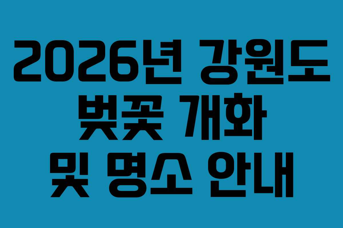 2026년 강원도 벚꽃 개화 및 명소 안내
