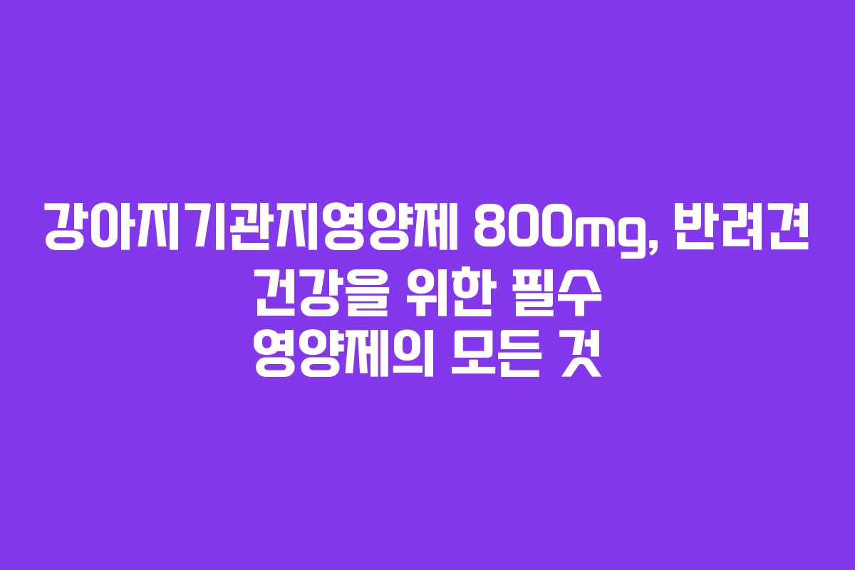 강아지기관지영양제 800mg, 반려견 건강을 위한 필수 영양제의 모든 것