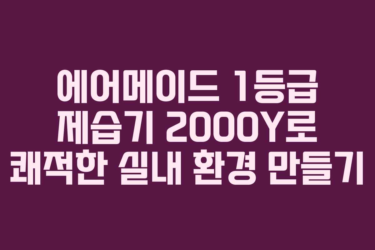 에어메이드 1등급 제습기 2000Y로 쾌적한 실내 환경 만들기