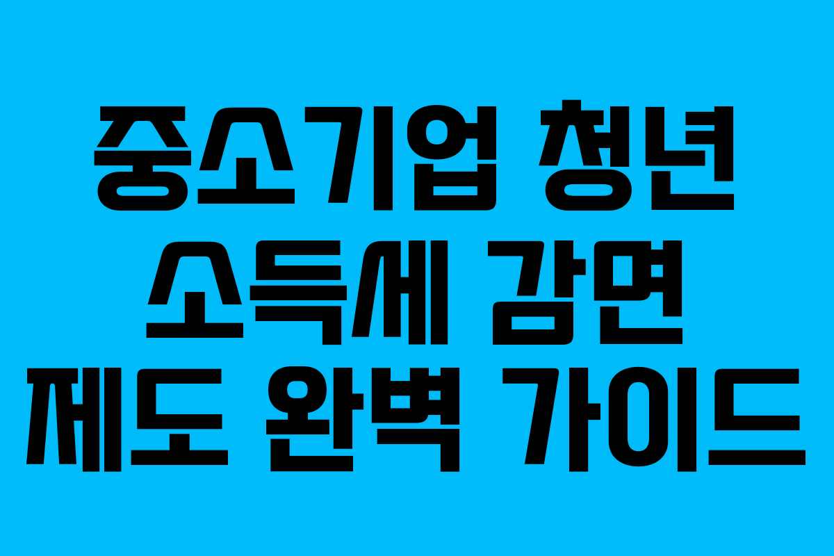 중소기업 청년 소득세 감면 제도 완벽 가이드