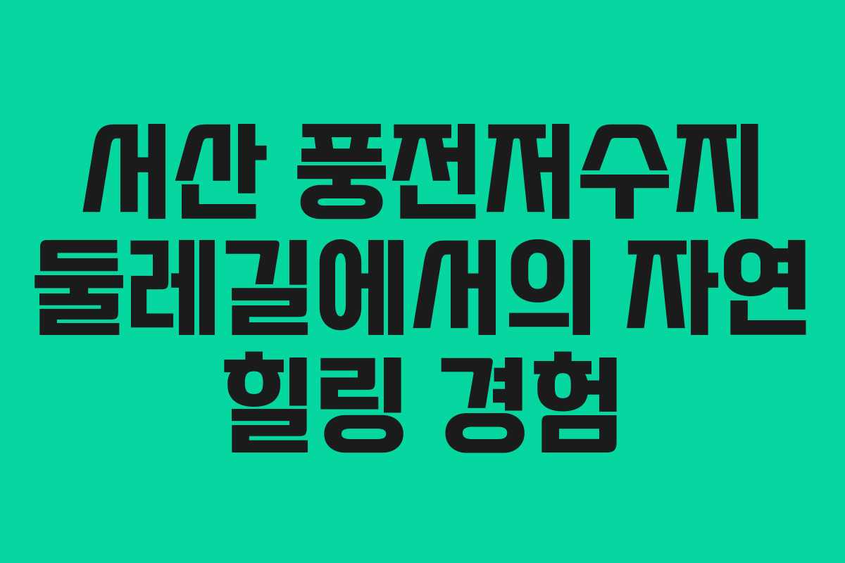 서산 풍전저수지 둘레길에서의 자연 힐링 경험