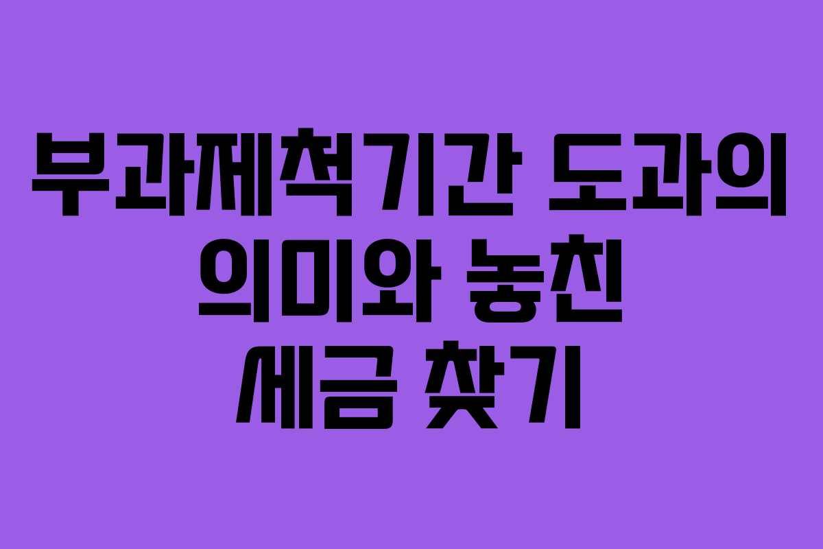 부과제척기간 도과의 의미와 놓친 세금 찾기