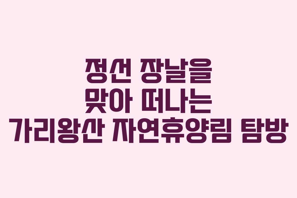 정선 장날을 맞아 떠나는 가리왕산 자연휴양림 탐방