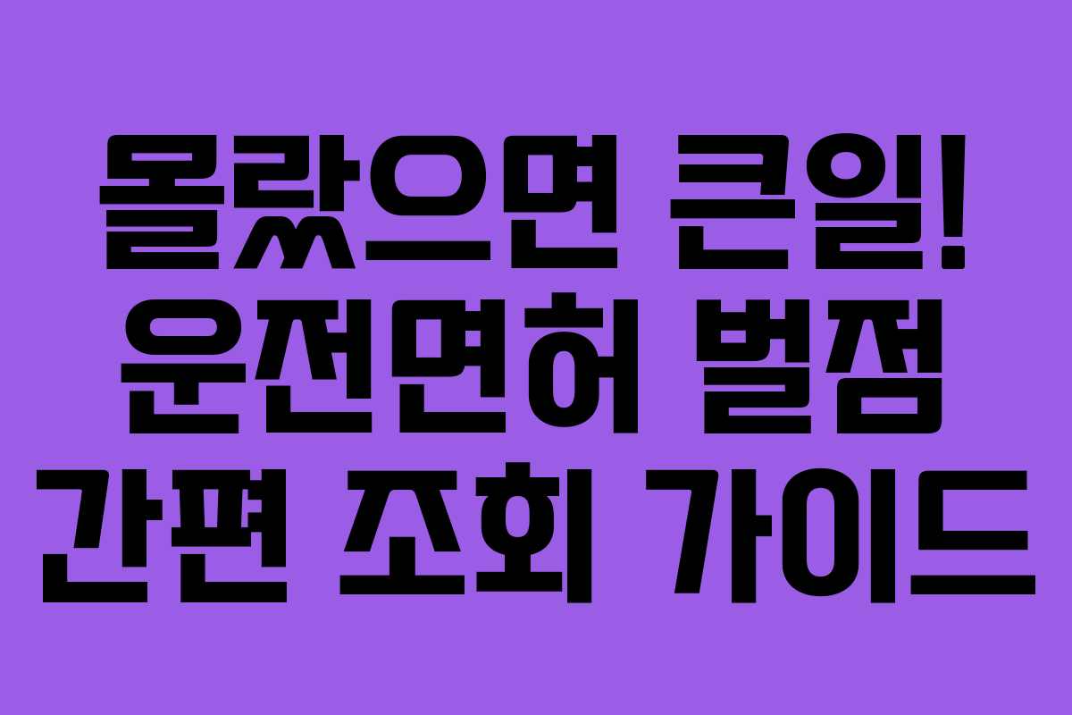 몰랐으면 큰일! 운전면허 벌점 간편 조회 가이드