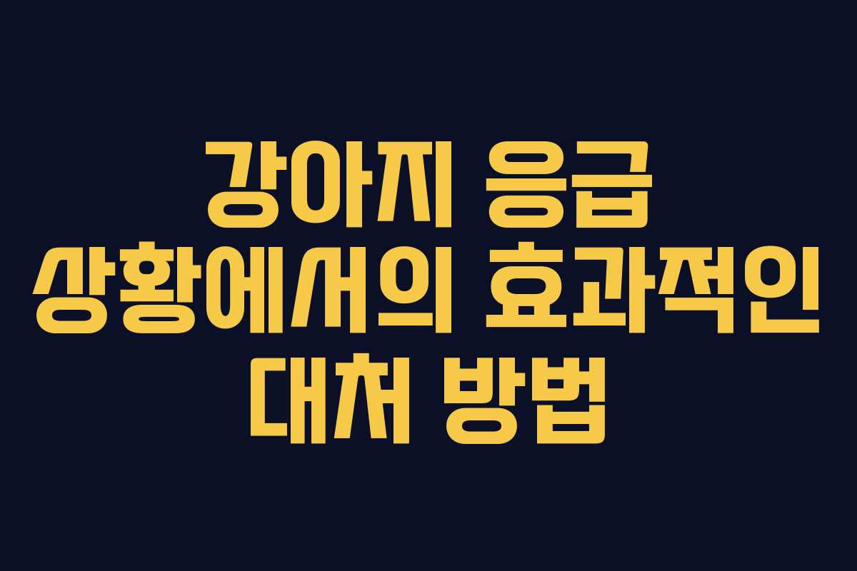 강아지 응급 상황에서의 효과적인 대처 방법