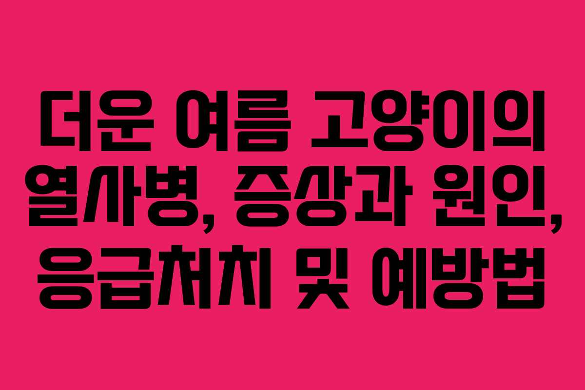 더운 여름 고양이의 열사병, 증상과 원인, 응급처치 및 예방법