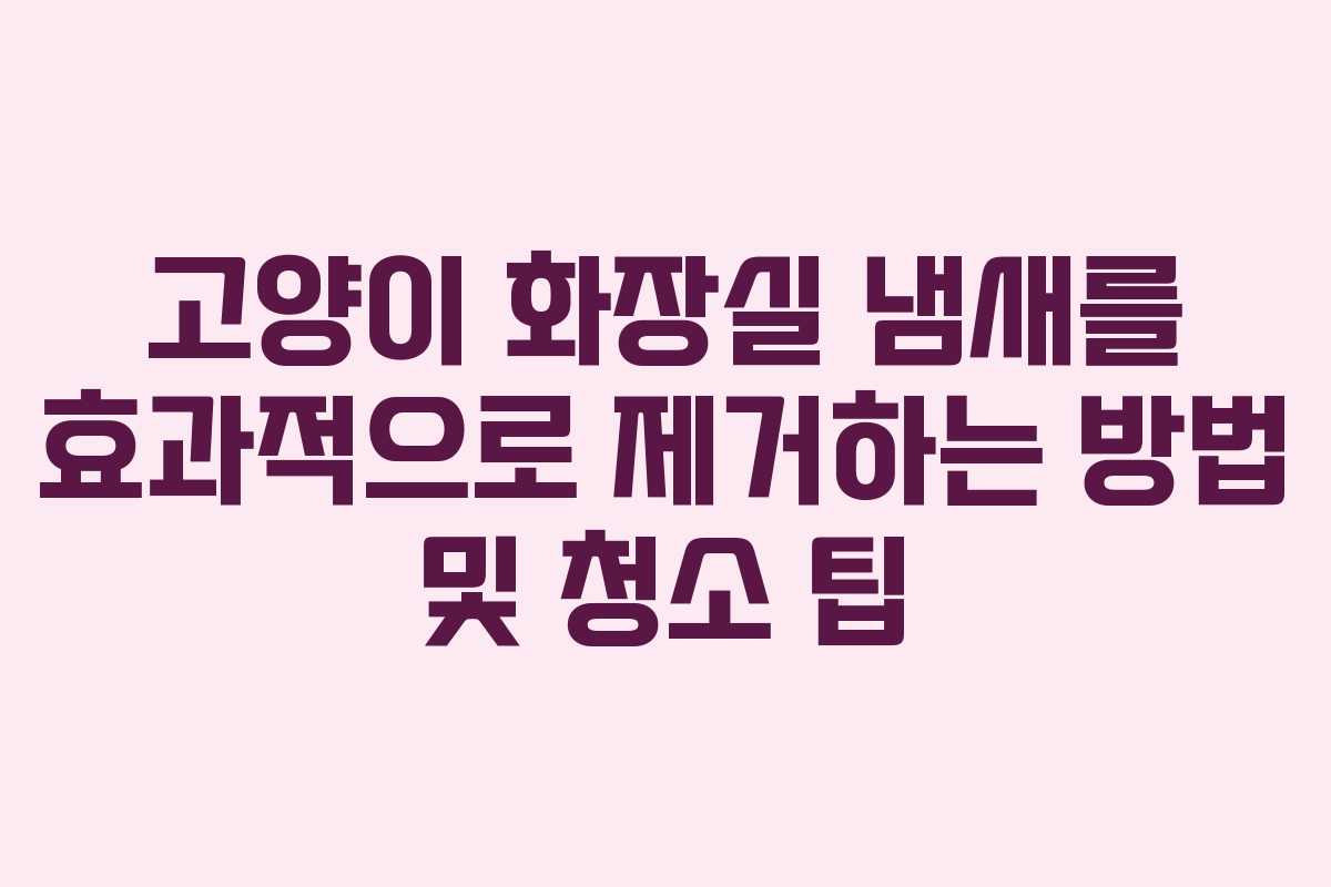 고양이 화장실 냄새를 효과적으로 제거하는 방법 및 청소 팁