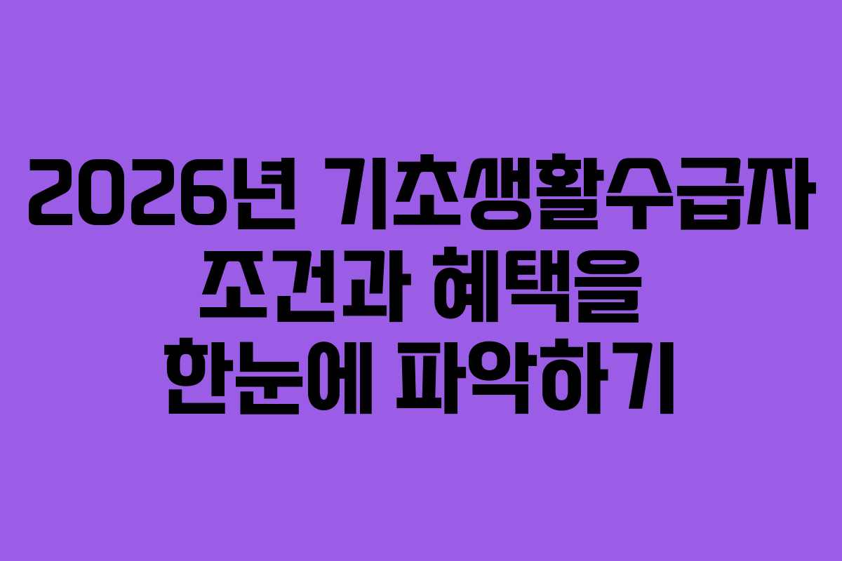2026년 기초생활수급자 조건과 혜택을 한눈에 파악하기