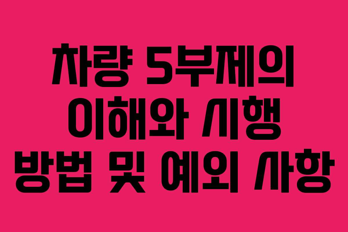 차량 5부제의 이해와 시행 방법 및 예외 사항