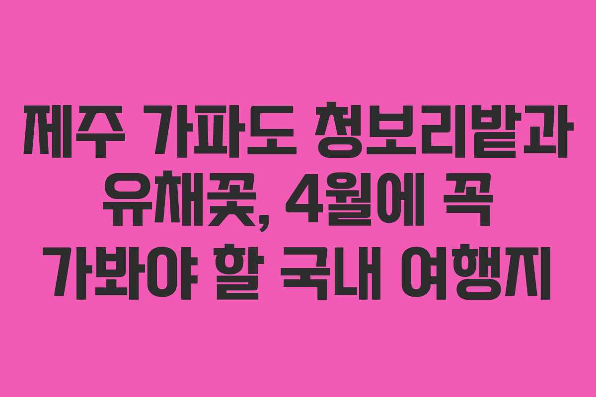제주 가파도 청보리밭과 유채꽃, 4월에 꼭 가봐야 할 국내 여행지