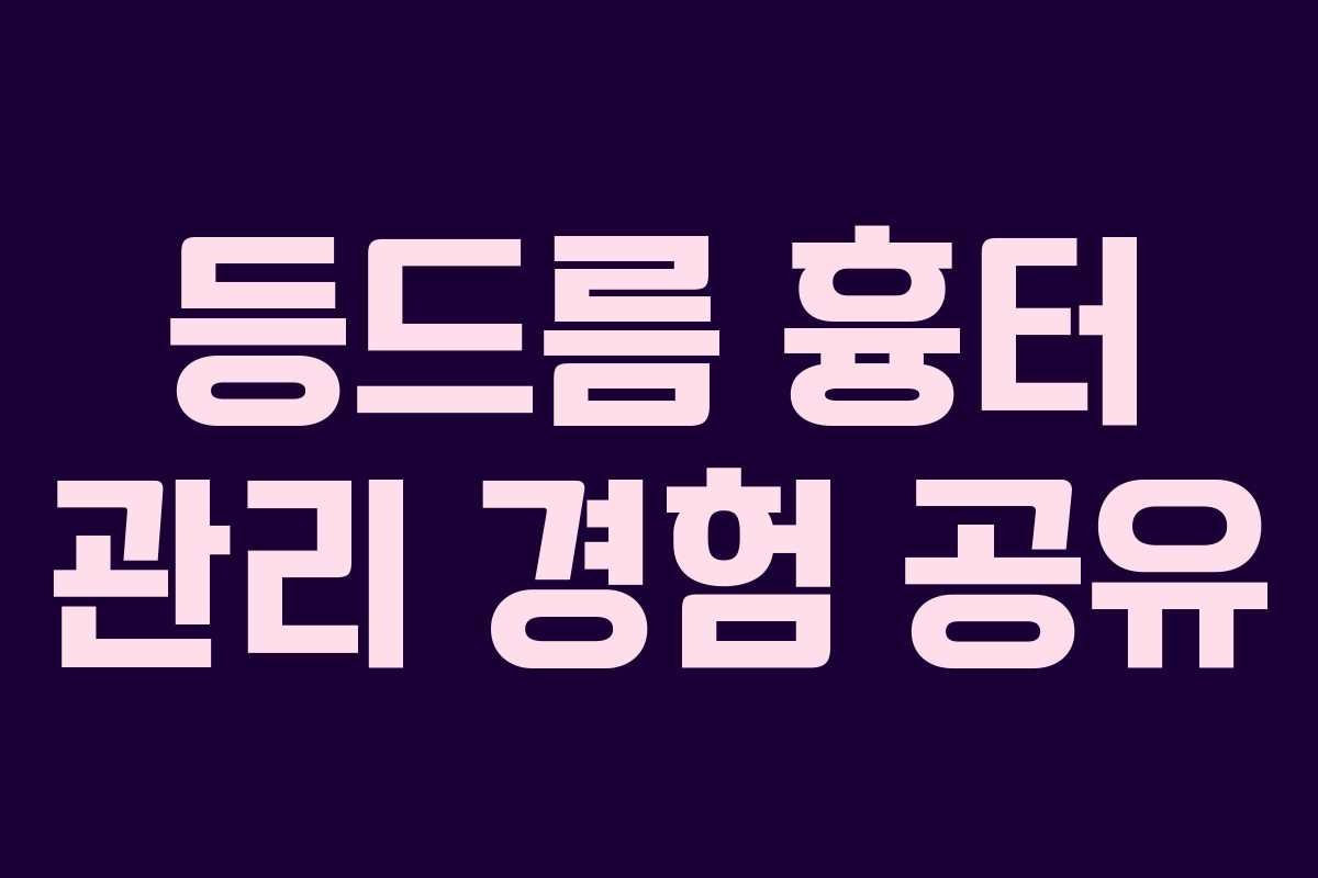 등드름 흉터 관리 경험 공유