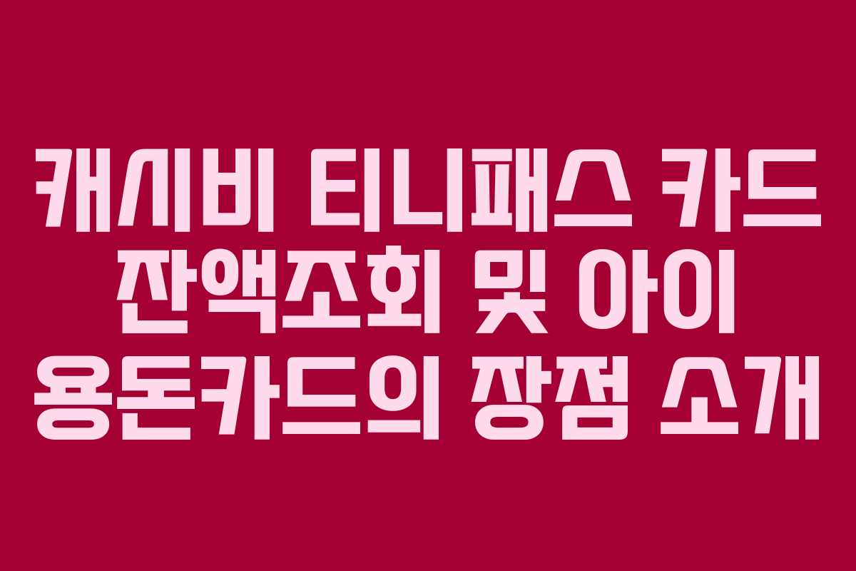 캐시비 티니패스 카드 잔액조회 및 아이 용돈카드의 장점 소개