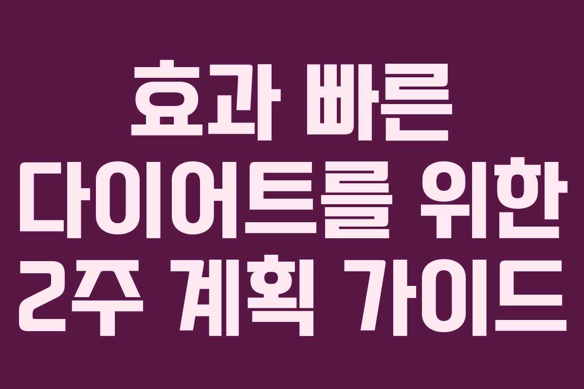 효과 빠른 다이어트를 위한 2주 계획 가이드