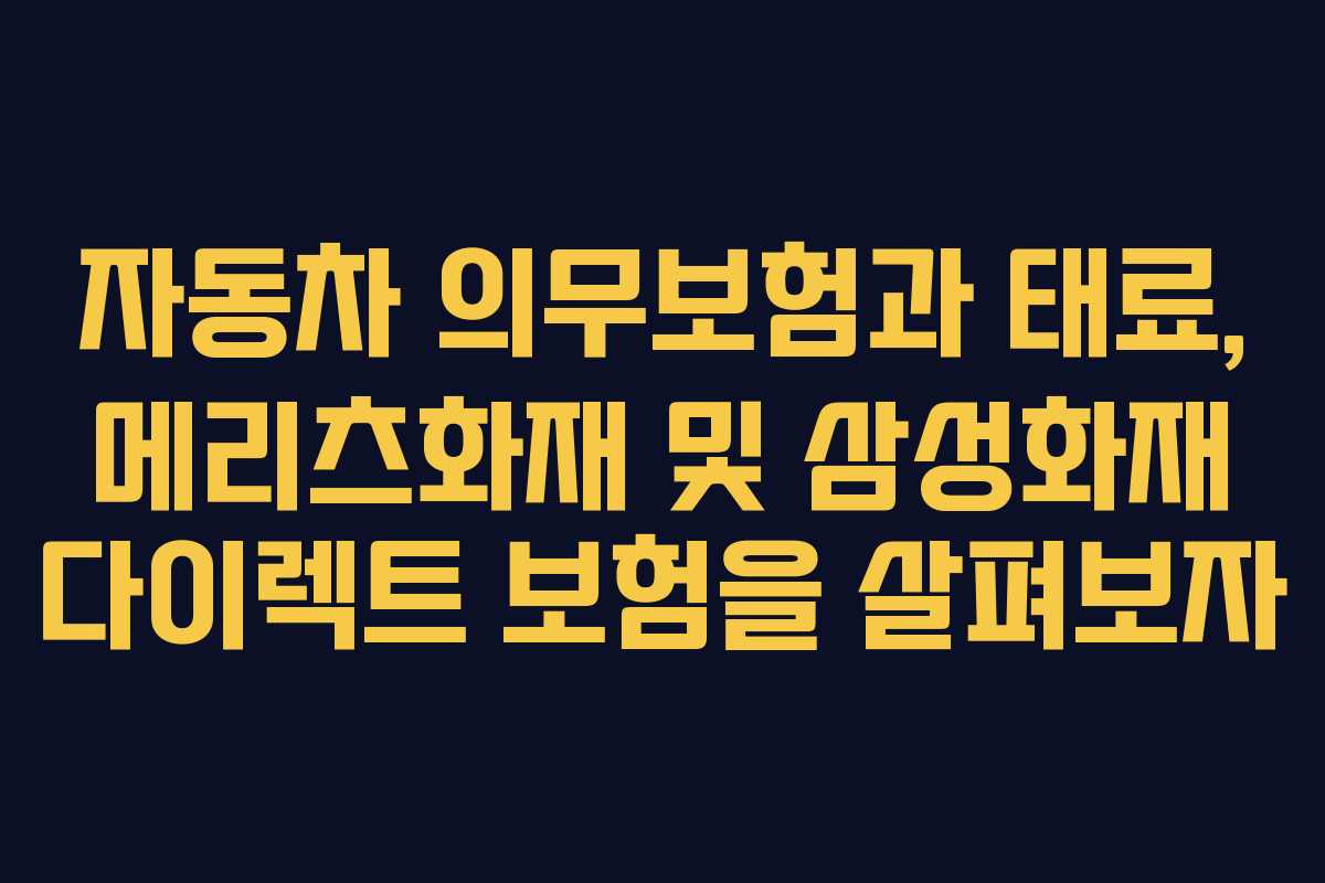 자동차 의무보험과 태료, 메리츠화재 및 삼성화재 다이렉트 보험을 살펴보자