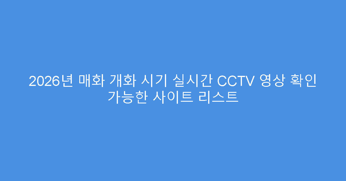 2026년 매화 개화 시기 실시간 CCTV 영상 확인 가능한 사이트 리스트