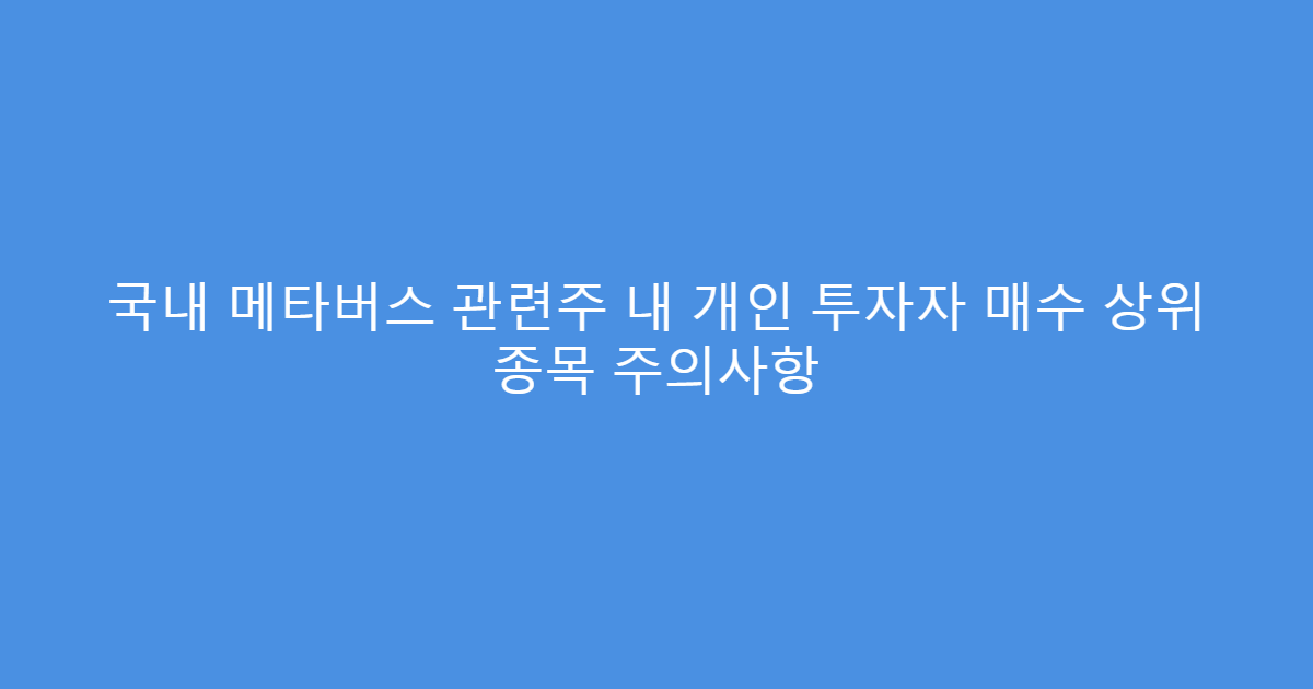 국내 메타버스 관련주 내 개인 투자자 매수 상위 종목 주의사항