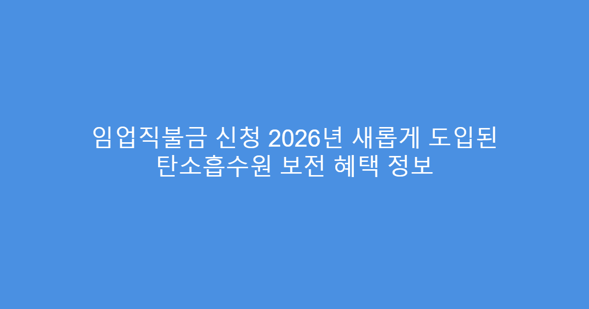 임업직불금 신청 2026년 새롭게 도입된 탄소흡수원 보전 혜택 정보