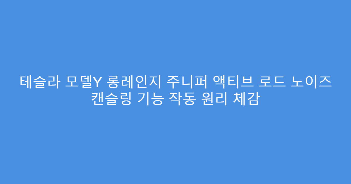 테슬라 모델Y 롱레인지 주니퍼 액티브 로드 노이즈 캔슬링 기능 작동 원리 체감