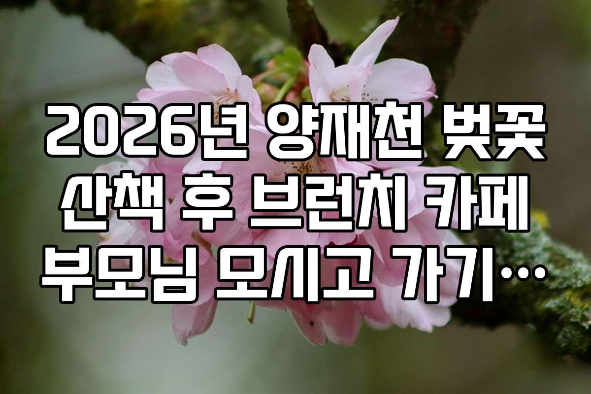 2026년 양재천 벚꽃 산책 후 브런치 카페 부모님 모시고 가기 좋은 곳