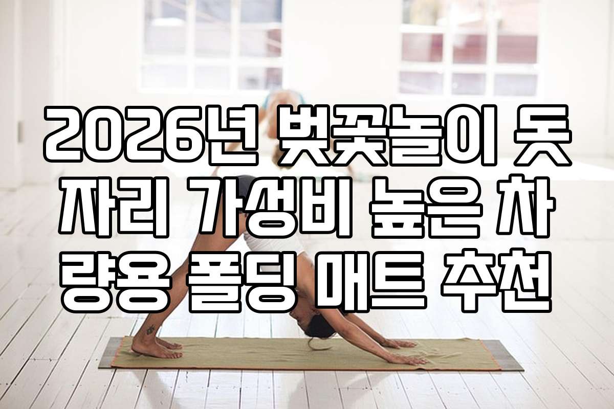 2026년 벚꽃놀이 돗자리 가성비 높은 차량용 폴딩 매트 추천