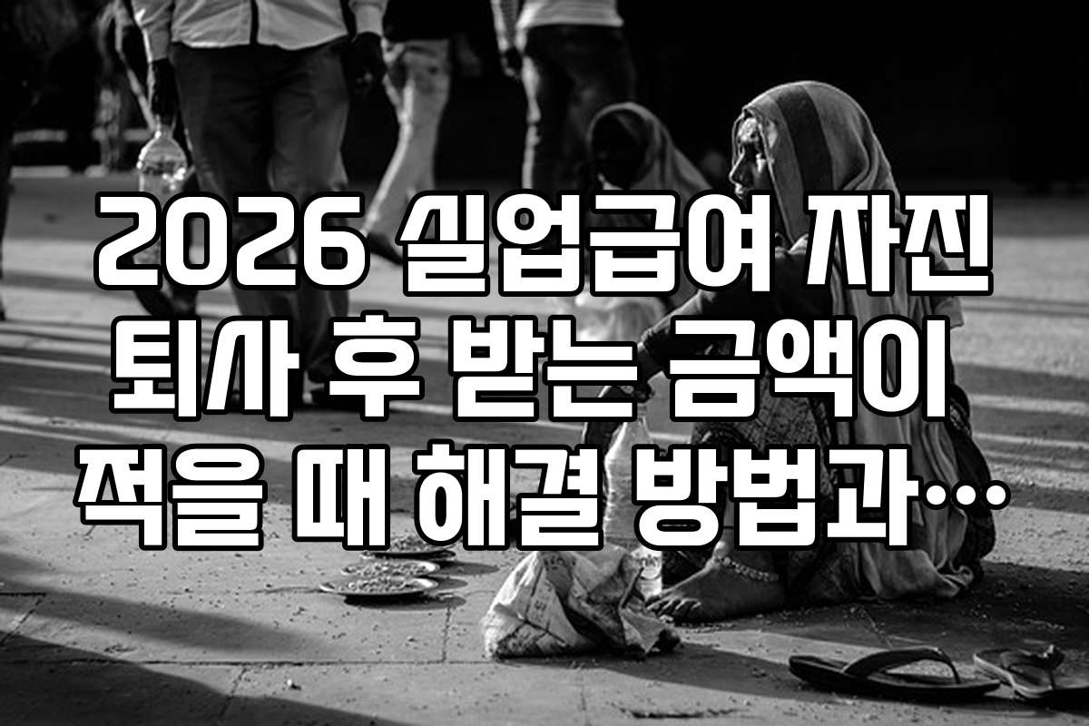 2026 실업급여 자진퇴사 후 받는 금액이 적을 때 해결 방법과 대책은?
