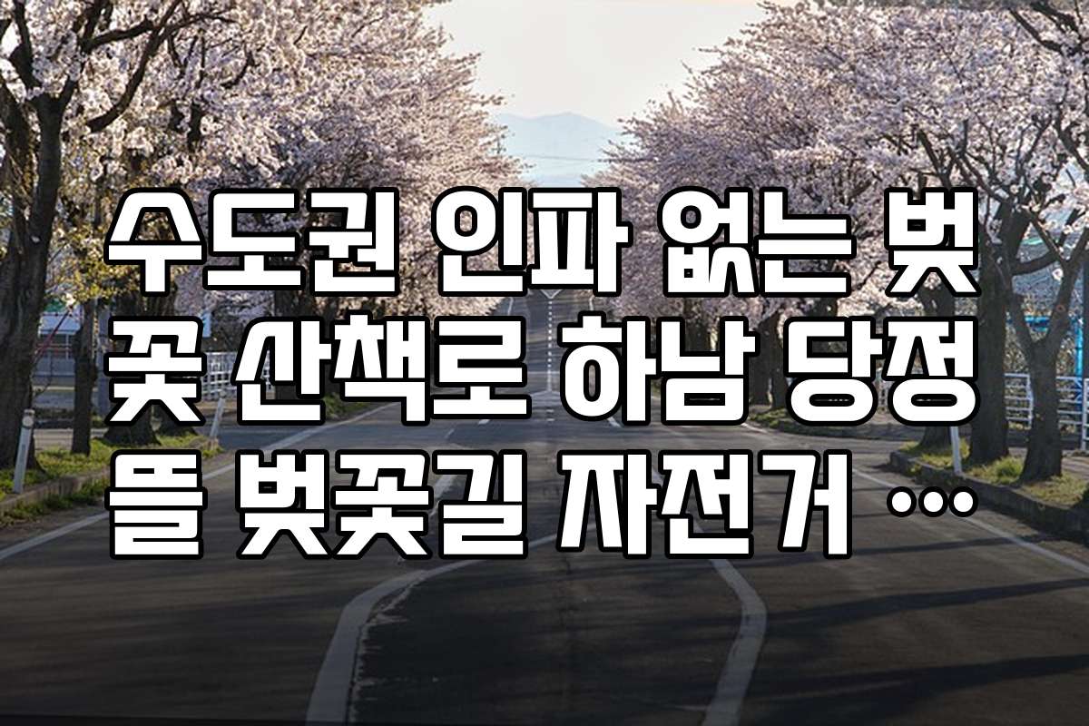 수도권 인파 없는 벚꽃 산책로 하남 당정뜰 벚꽃길 자전거 코스